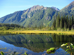 Cassiar-Stewart